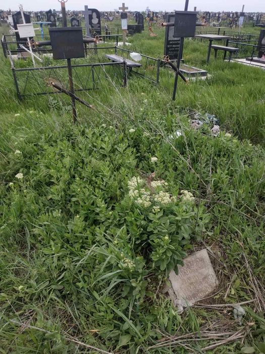 Уборка могил, покраска оград, установка столов, установка оград