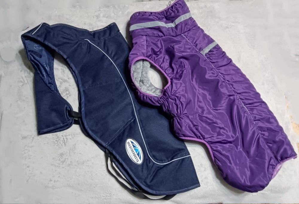 Одежда для собак, одяг для собак