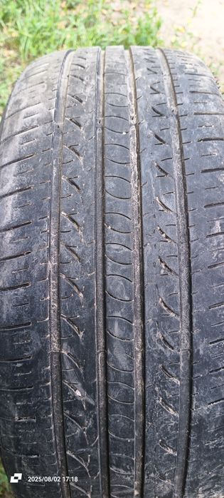 Продам шину Frun-One