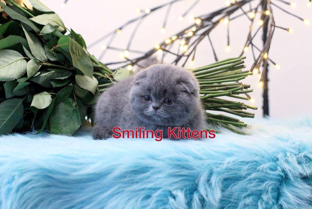 Завжди є куди ще краще