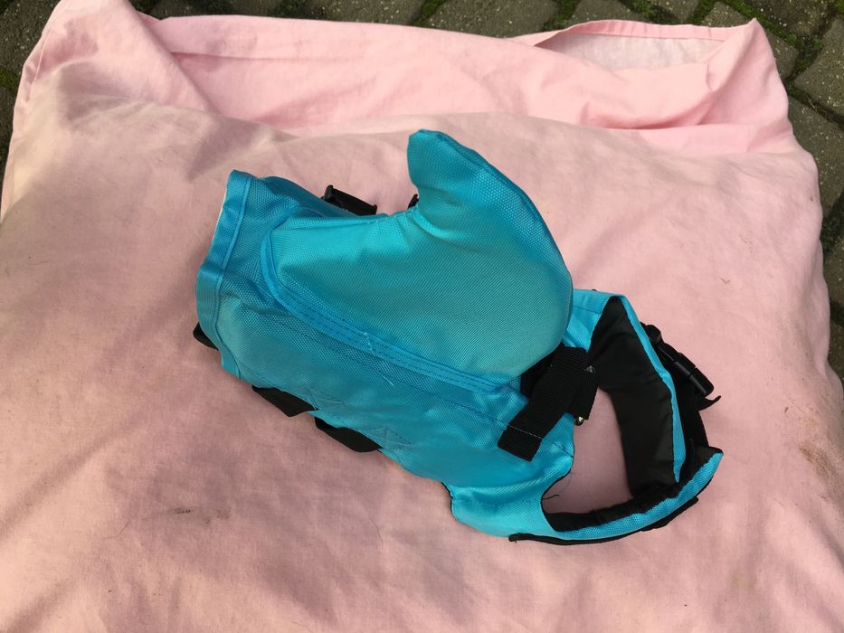 Одяг для тваринок