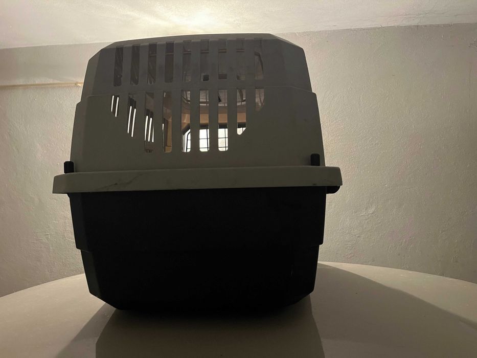 Transportadora de Cães (Box)