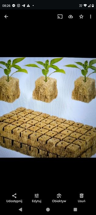 Bloki do sadzonek EcoGrow Rockwool hydroponic 50szt