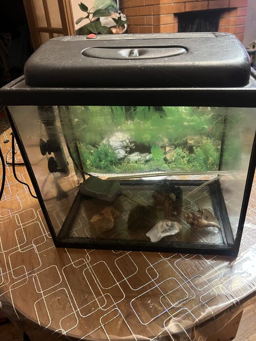 Акваріум на 30л повністю з обладнанням