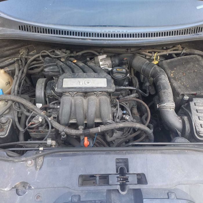Подам авто Seat Toledo 3 2008 газ/бенз