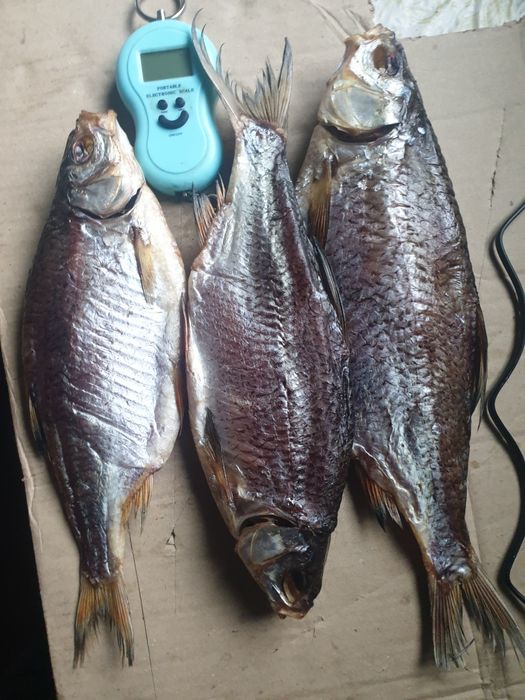 Риба малосольна Тарань з ікрою Лящь плотва сушена