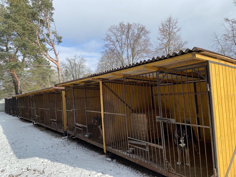 Готель для собак/перетримка собак/зооготель/кінолог/дресирування собак