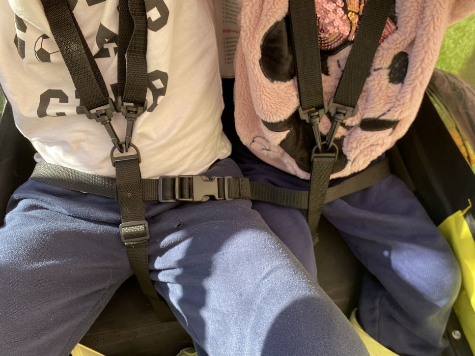 Carinho atrelado para bicicleta - 2 criancas