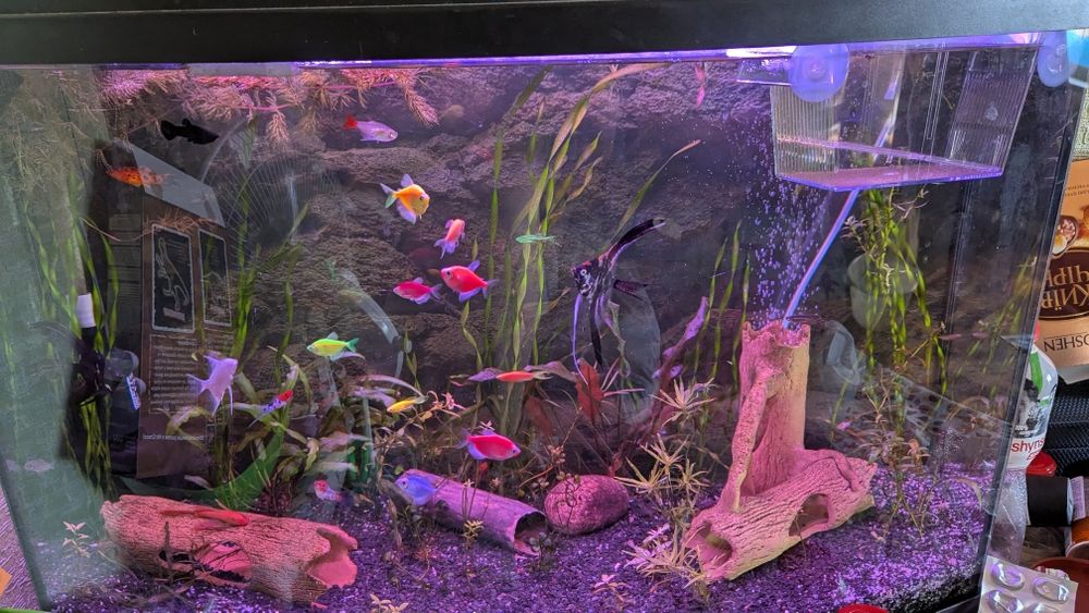 Продам аквариум 120 л комплект