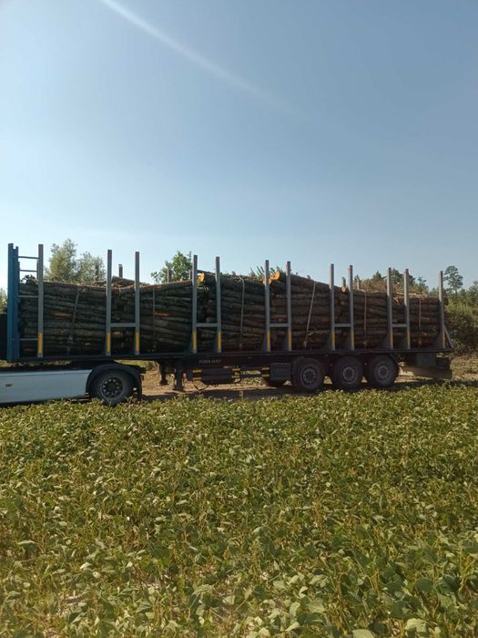 Продам дрова оптом/гуртом