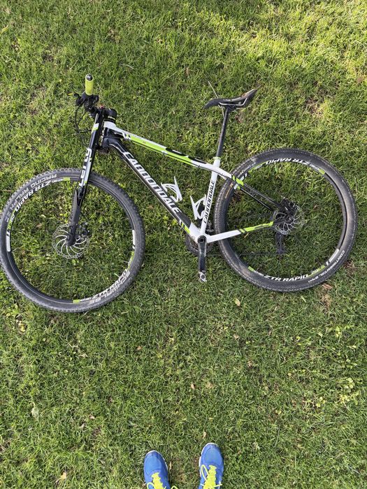 Cannoldale Carbono F29