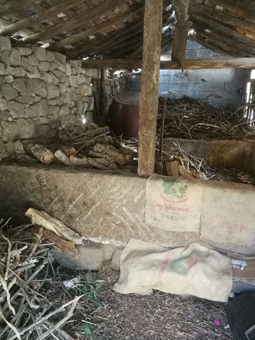 Ruina lagar  Valpaços