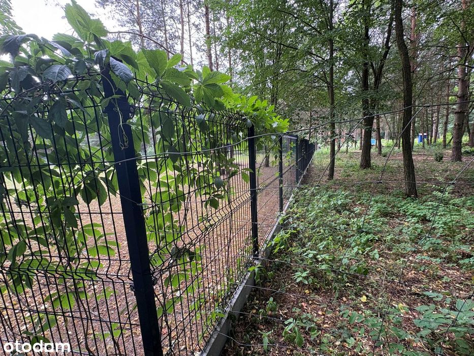 Działka budowlana 1505 m² , ogrodzona, prąd, Wężyk, gmina Grodzisk Maz