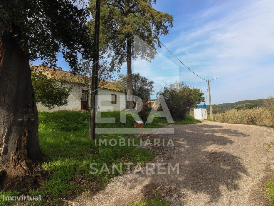 Terreno com cerca de 1 Hectare