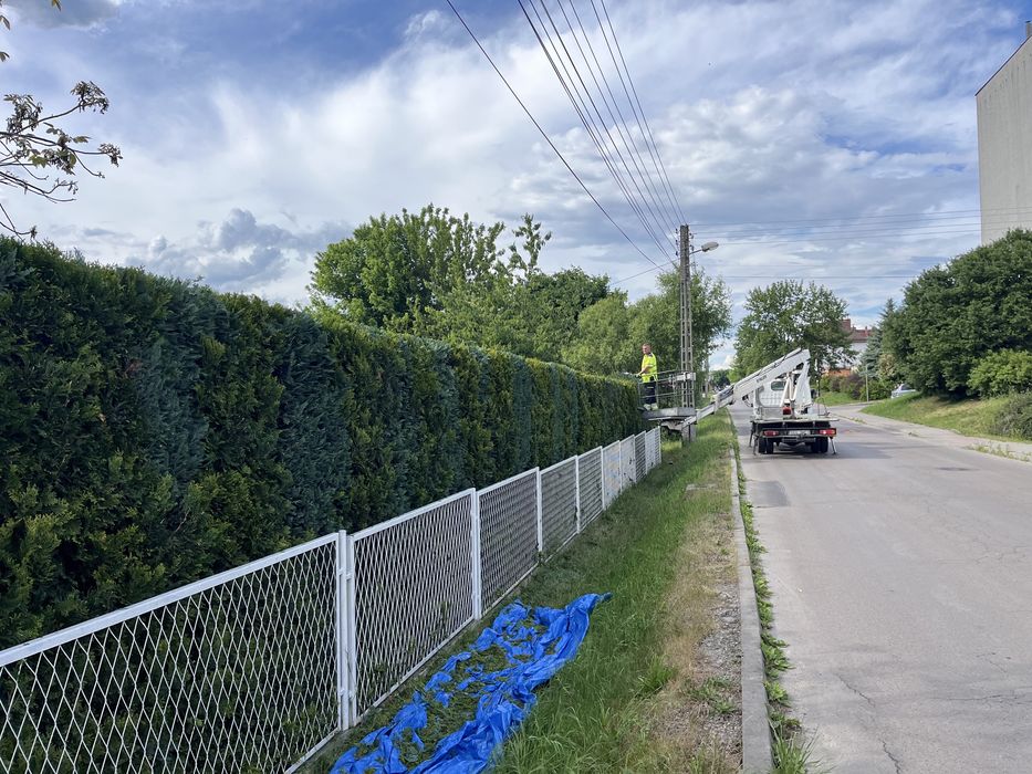 Wycinka drzew z podnośnika / przycinka/ rębakowanie / frezowanie .