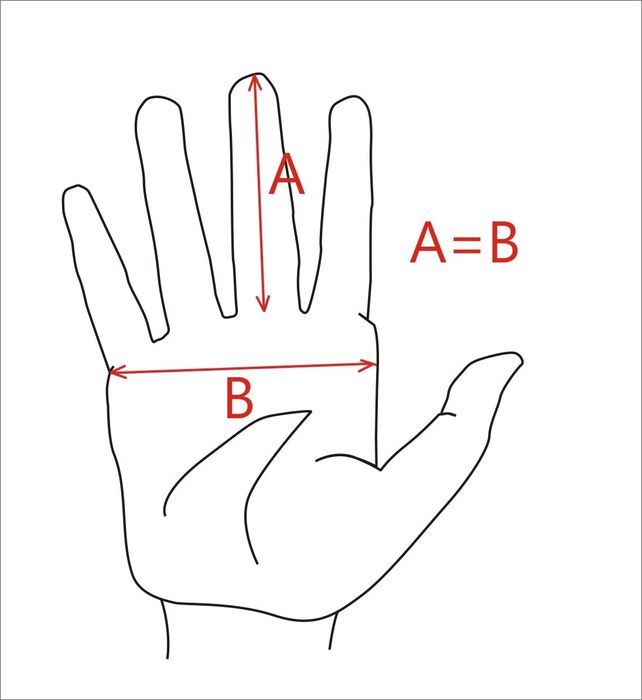 Ocieplenie 3M Thinsulate, Waterproof, Szwedzkie męskie rękawiczki