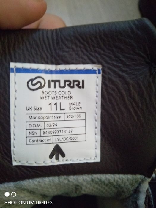 Продам Британські берци