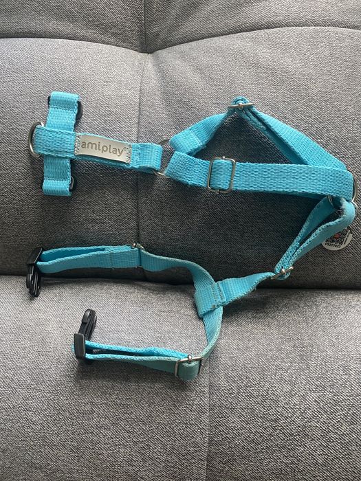 Брендові шлеї для собак