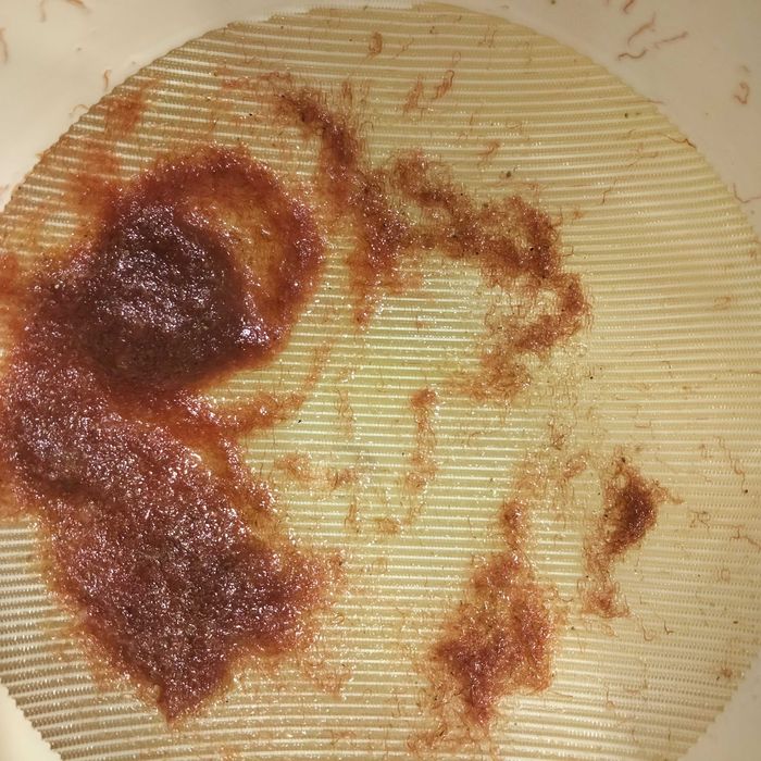 Auloforus pokarm dla ryb