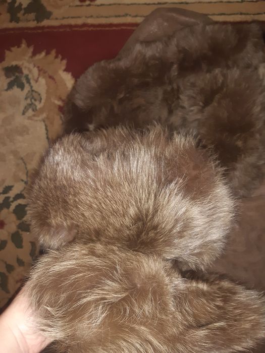 Натуральная дубленка большого размера