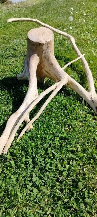 Sprzedam korzeń do akwarium , terrarium