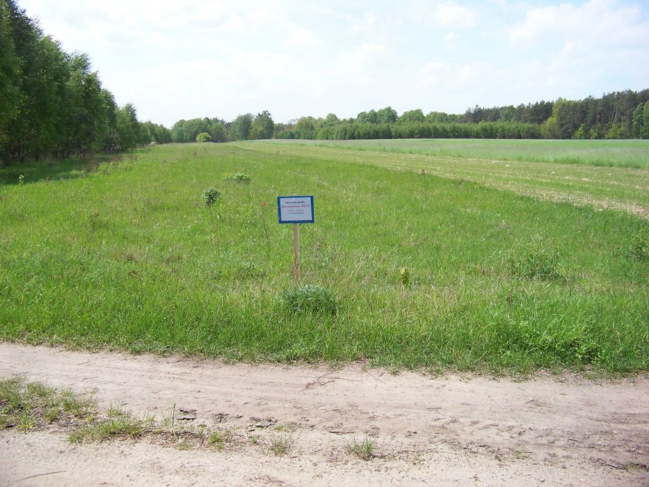 Sprzedam działkę po lasem Dąbrówka Stany