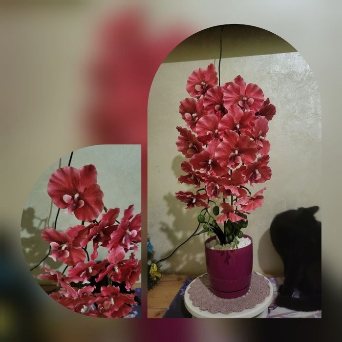 Латекса  орхідеї