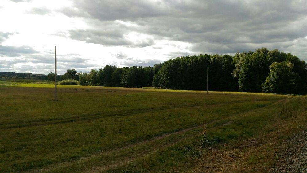 Продам участок 2га на берегу реки Мжа, в с.Тимченки