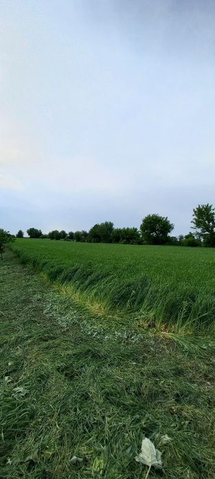 Будинок з ділянкою 60 соток