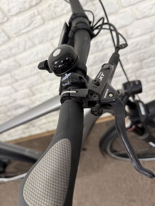Rower elektryczny na pasku Rose Xtra Watt Rohloff