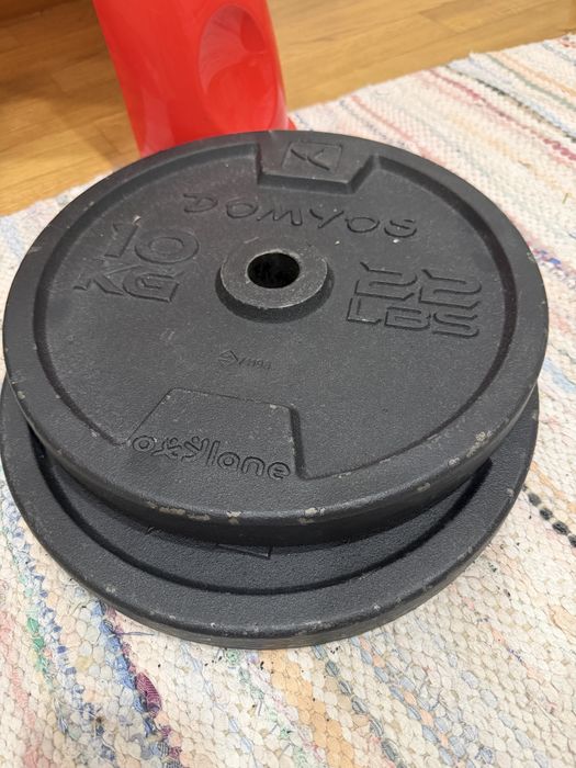 Dois discos de 10kg cada