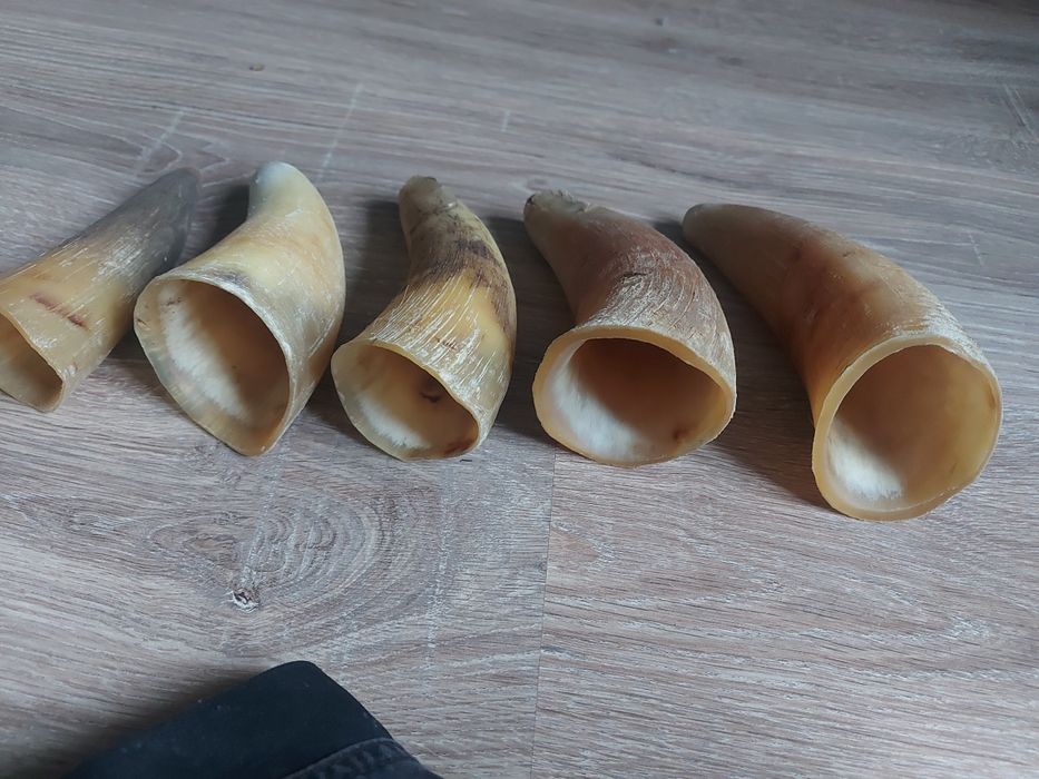 Poroże i rogi cena za całość