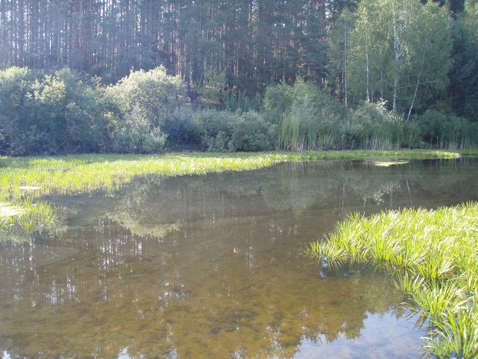 Продам земельну ділянку с.Сувід