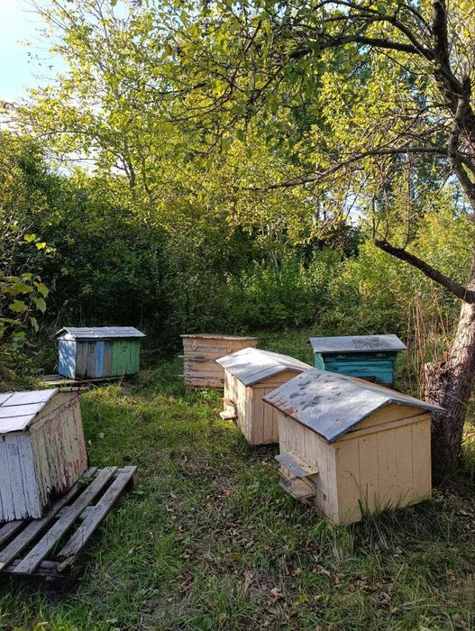 Продаж дачної ділянки с. Ков'ярі. 2500$ сот.