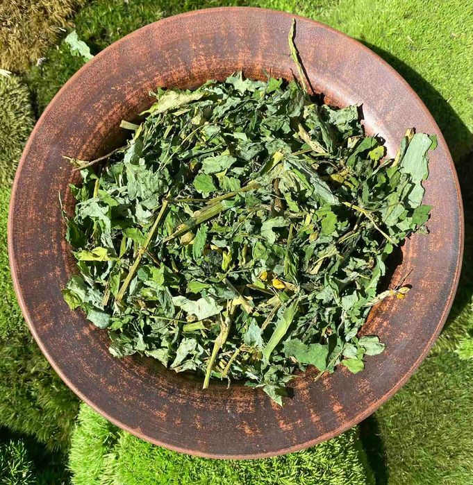 чистотіл, чистотел