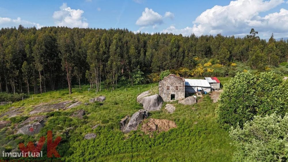 Quinta com 5.4 hectares | Ruína e Açude