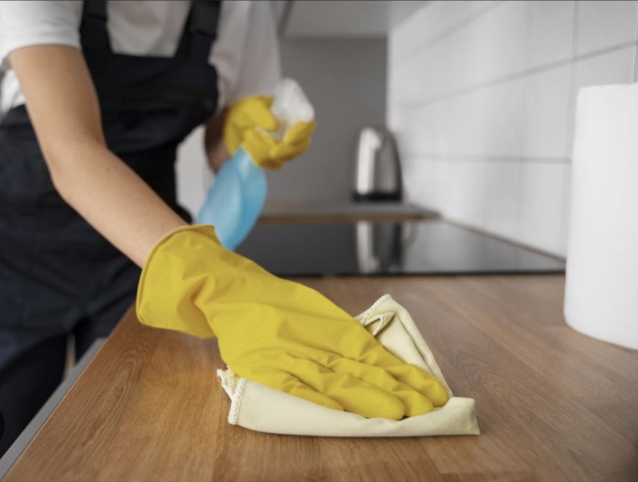 Limpeza domestica