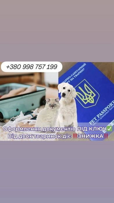 Ветеринарні документи для виїзду за кордон ( термінові документи)