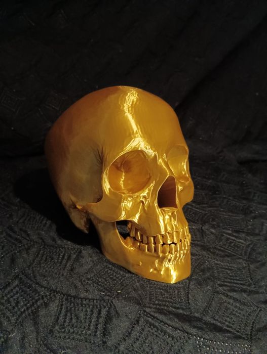 Caveira Decorativa Personalizada