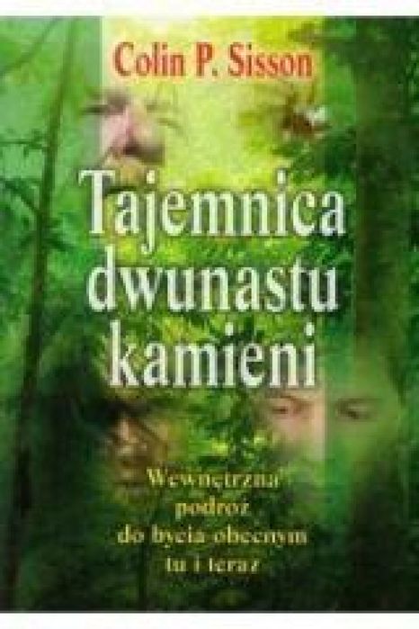 Tajemnica dwunastu kamieni Medium Colin P. Sisson Rok wydania: 2010,