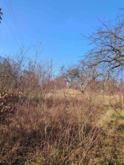 Продаж земельної ділянки під забудову в с.Бохоники 0962