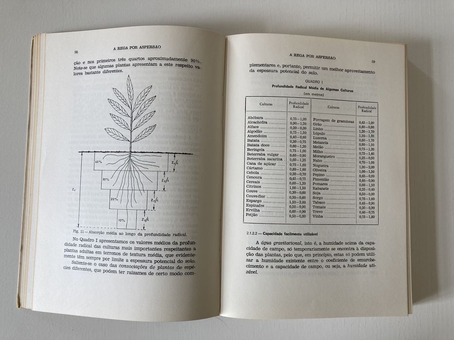 Livro “A Rega por Aspersão”, de José Rasquilho Raposo