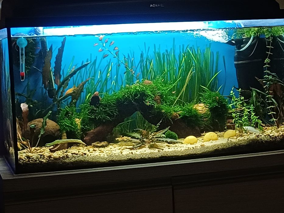 Sprzedam akwarium 120l
