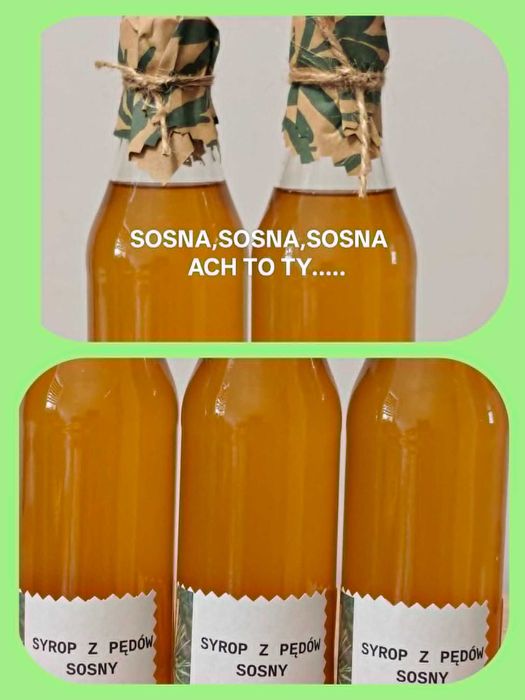 syrop sosnowy naturalny ,pyszny i zdrowy x5