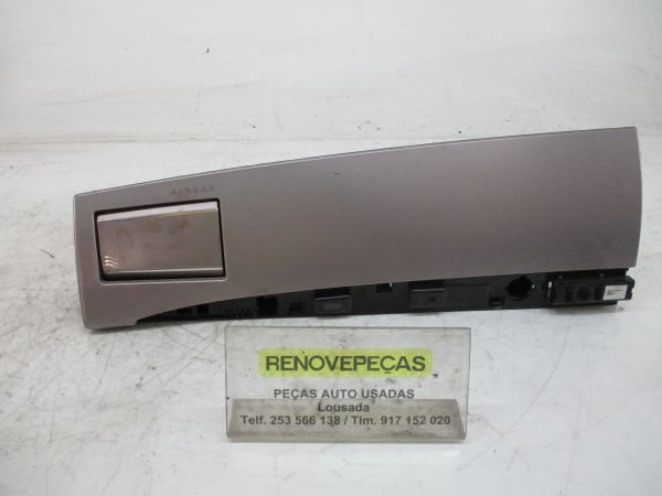 Friso / Frisos JAGUAR XF (X250)