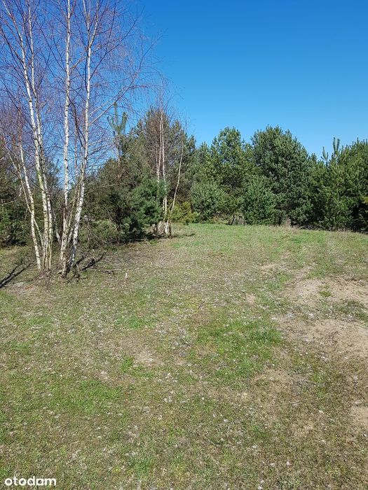 Piękna działka 1234 m² | MPZP | blisko Trójmiasta | bezpośrednio - Widok 2
