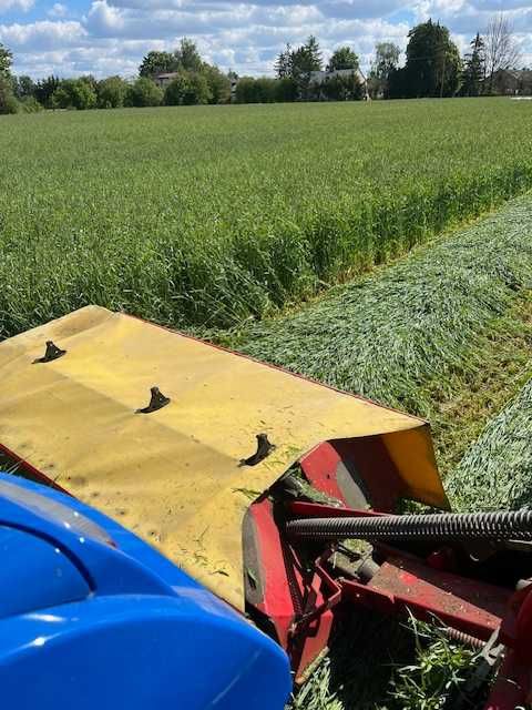 Bele kiszonki z żyta + wyka