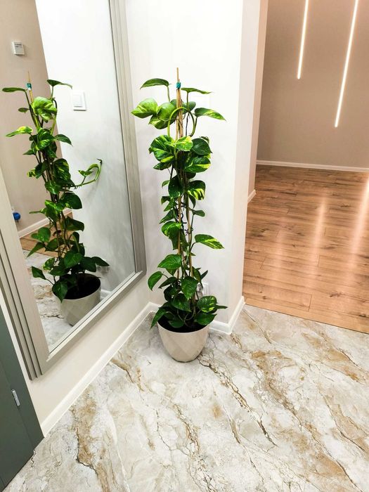 Usługi remontowe, wykończenia wnętrz, malowanie, gładzie,