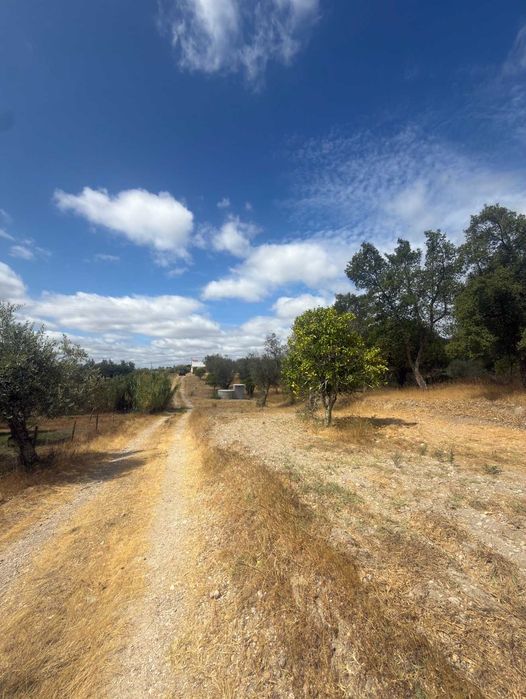 Moradia T3 com garagem e terreno à venda em Água Travessa- Abrantes