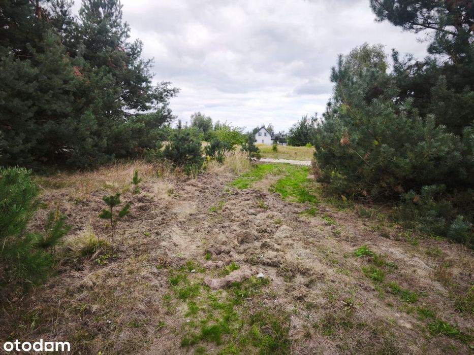 Działka budowlana ul. Gryczana, Głogów Małopolski - Widok 5